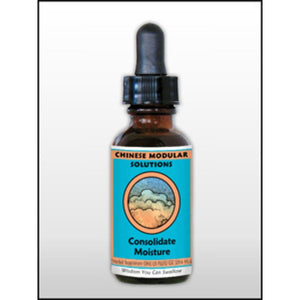 Dark Slate Gray Consolidate Moisture 1 oz by Chinese Modular Solutions by Kan