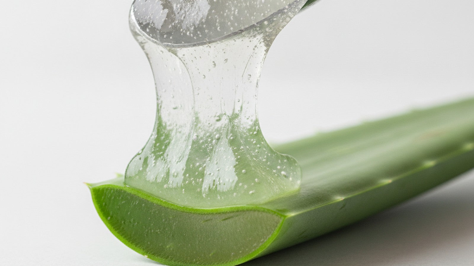 Translucent aloe vera inner gel on white laboratory surface