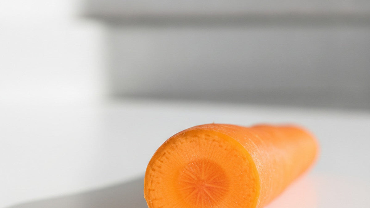 Cross-section of carrot on laboratory bench under dramatic lighting