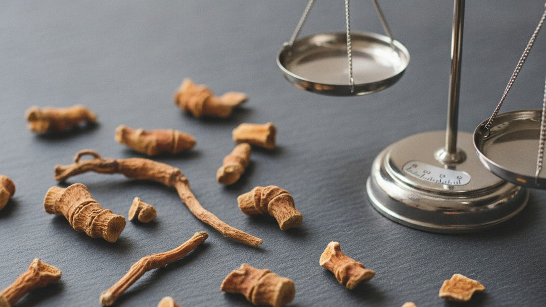 Dried bupleurum root pieces on dark surface with lab scale
