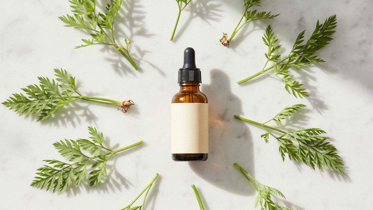 Carrot seed oil bottle with fresh carrot greens on marble