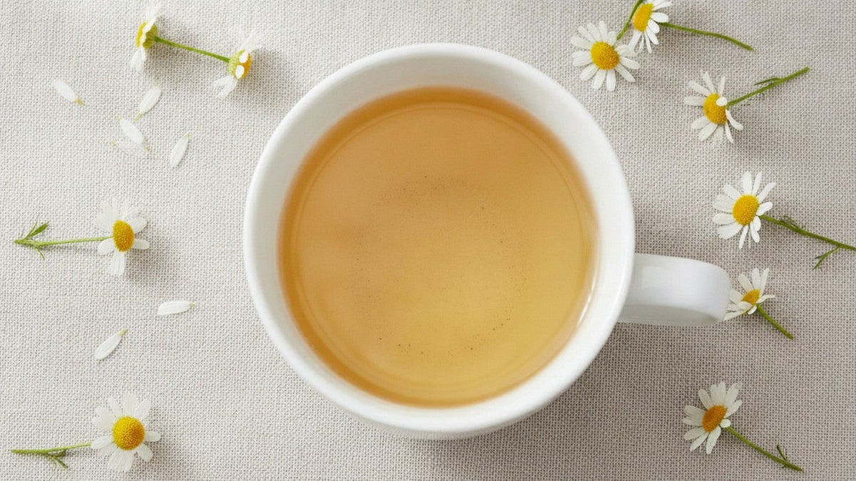 Cup of chamomile tea surrounded by fresh chamomile flowers