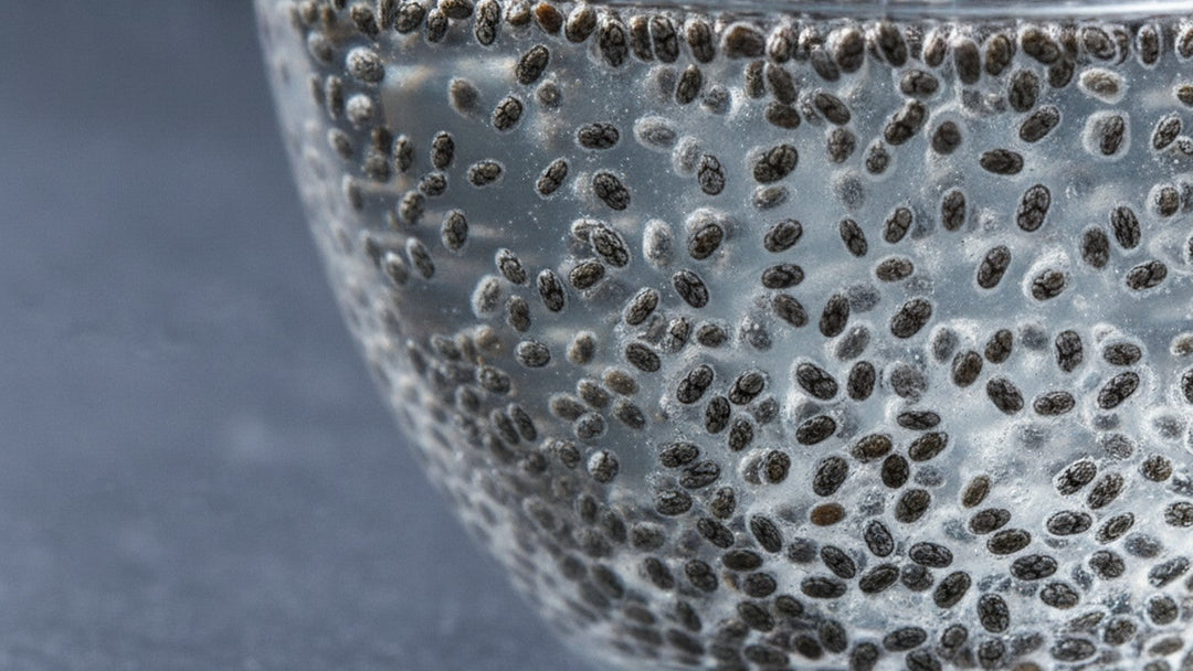 Whole chia seeds suspended in water, surrounded by translucent gel coating
