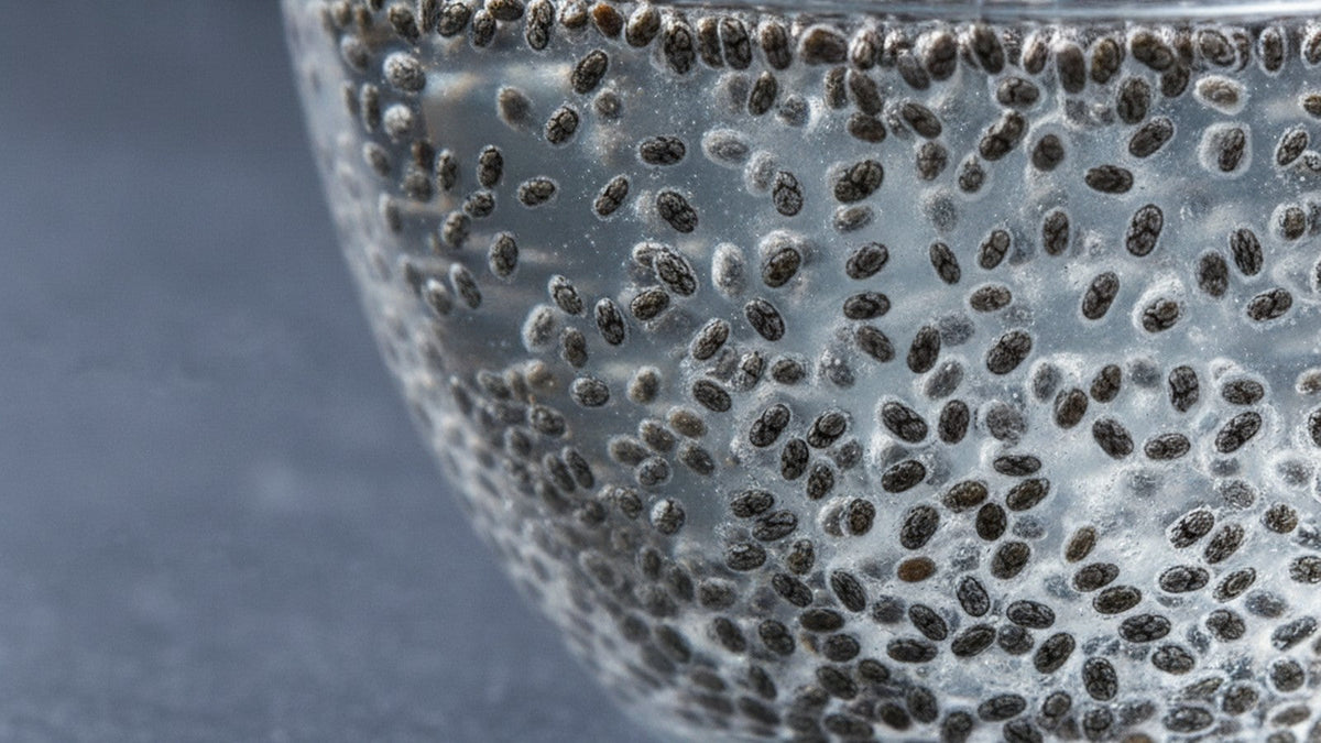 Whole chia seeds suspended in water, surrounded by translucent gel coating