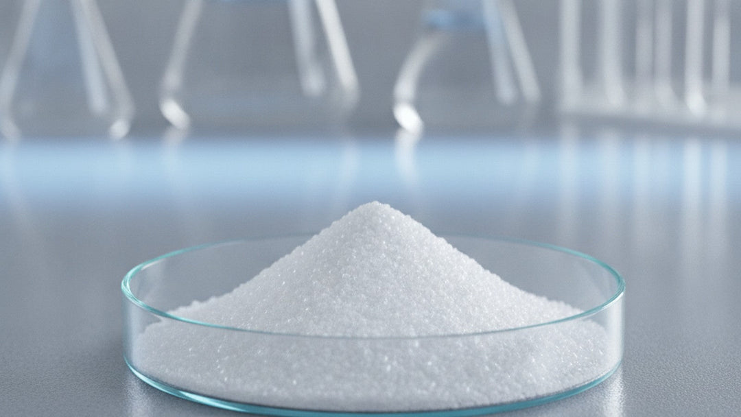 Chitosan powder in petri dish on lab bench