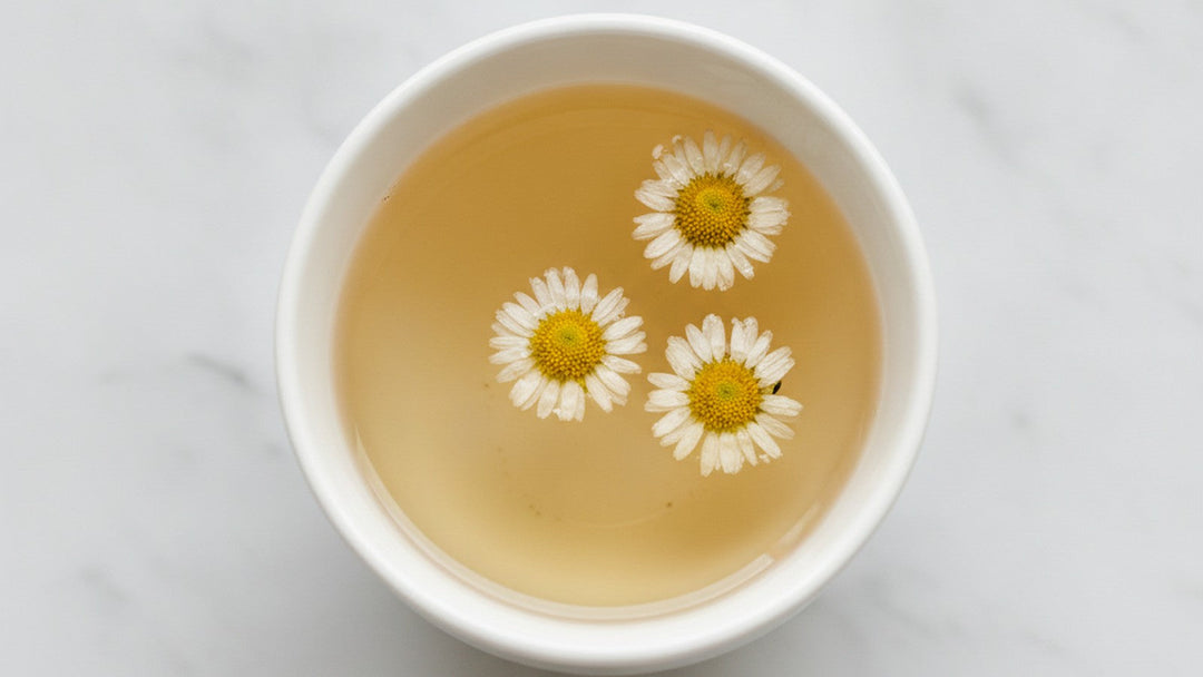Cup of chrysanthemum tea with dried flowers floating in it