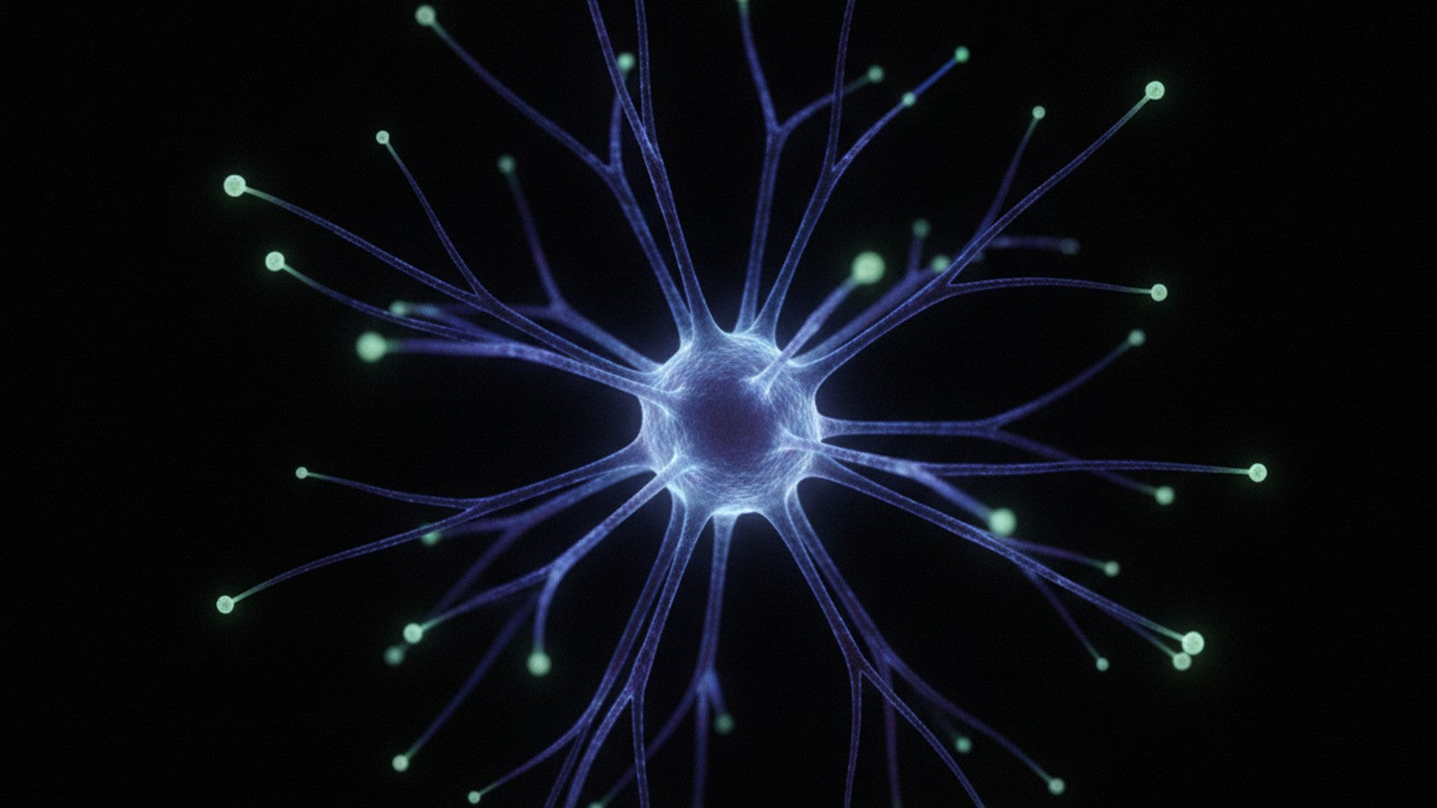 Microscopic view of an astrocyte glial cell with branching extensions