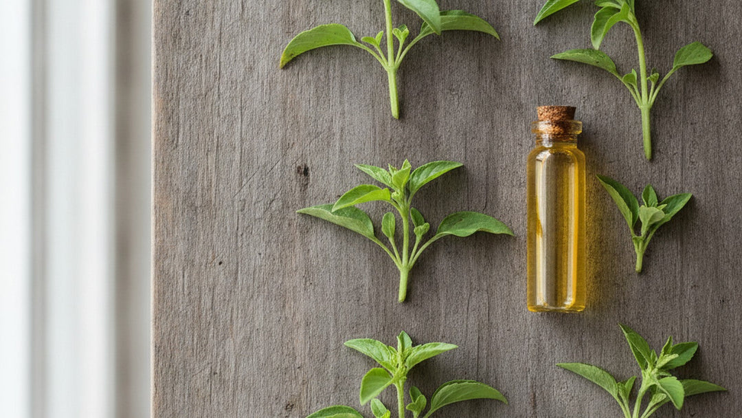 Fresh East African basil leaves and essential oil vial on wooden surface