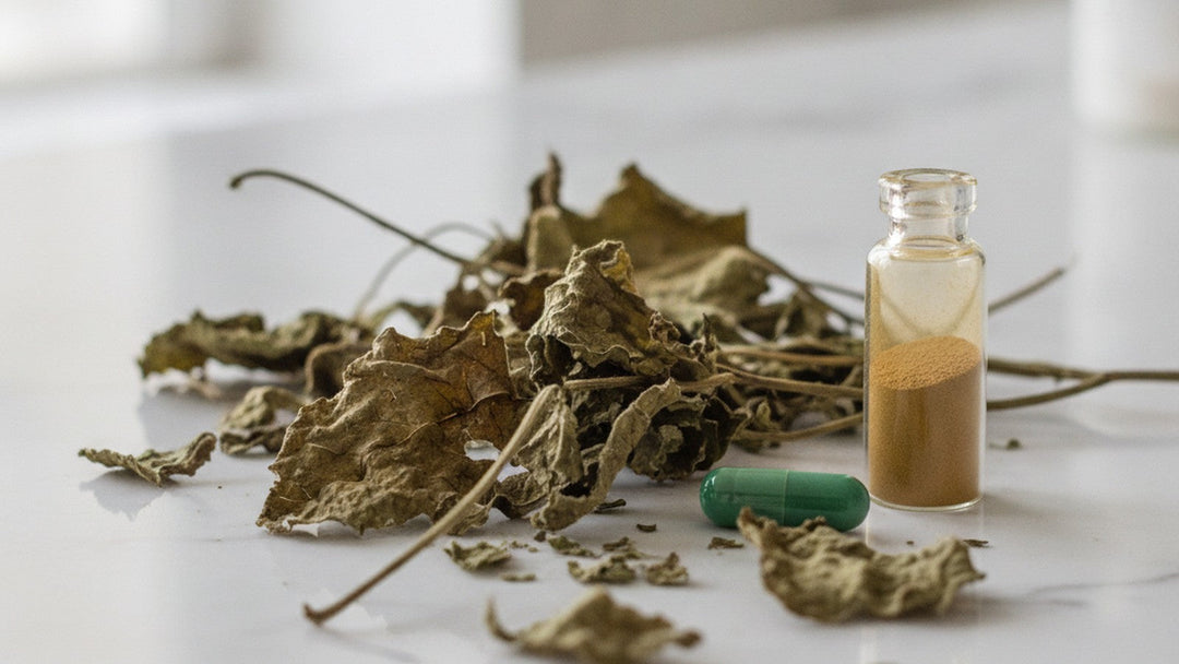Dried epimedium leaves with supplement capsule on marble counter