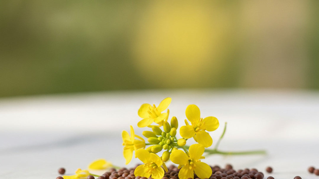 Yellow mustard flowers and scattered mustard seeds on white marble