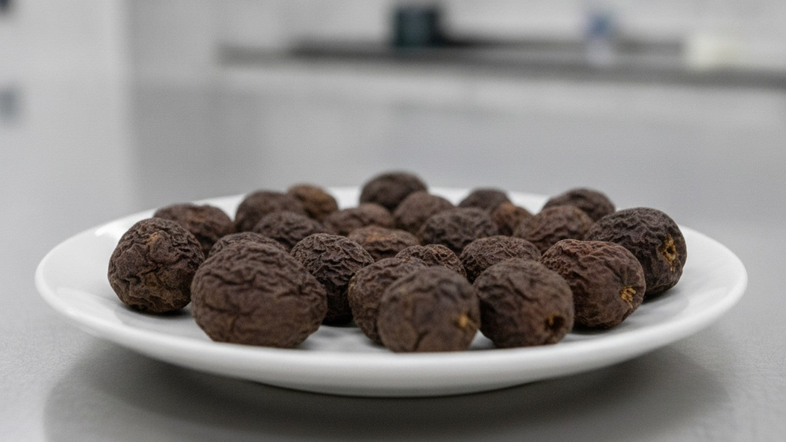 Dried evodia fruit on white plate in laboratory setting