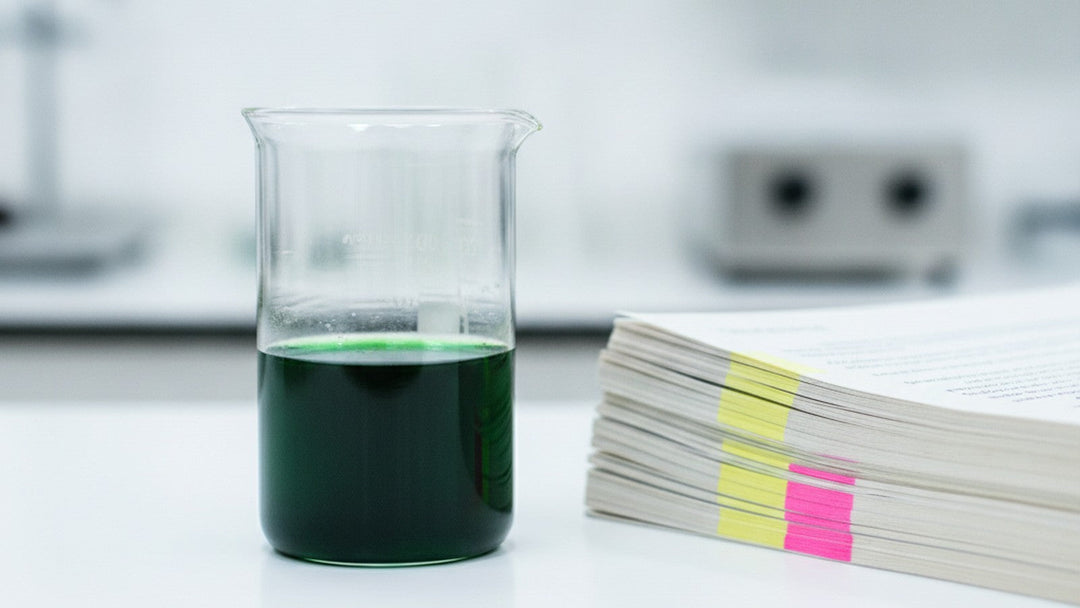 Green betel leaf extract in laboratory beaker beside research papers