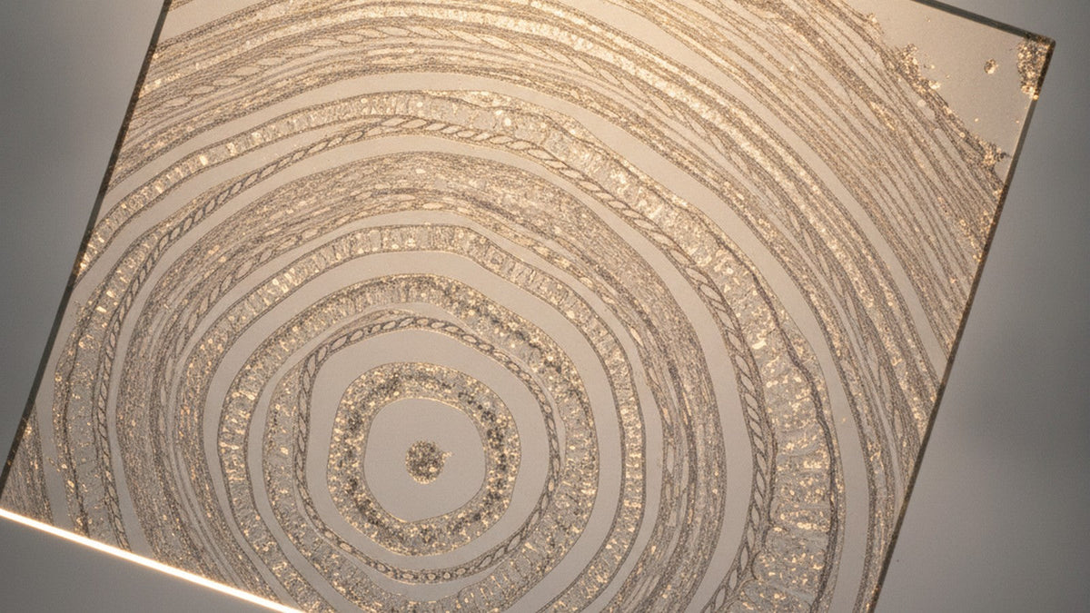 Microscope view of bone tissue showing collagen structure and mineralization
