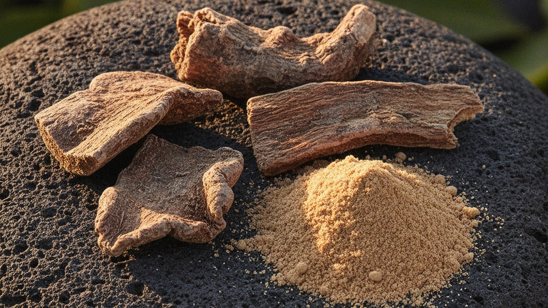 Dried kava root and powder on dark stone surface
