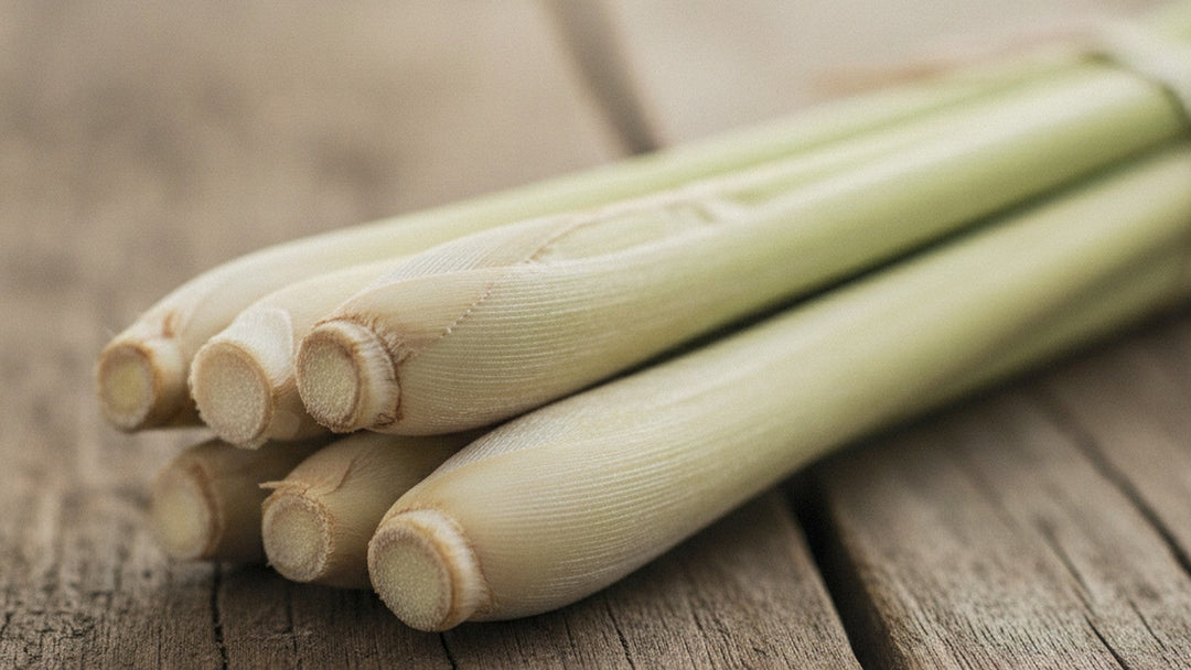 Fresh lemongrass stalks on wood surface