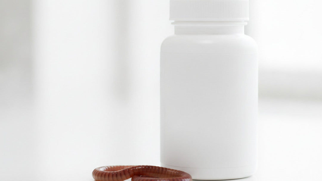Lumbrokinase supplement bottle next to earthworm on laboratory counter
