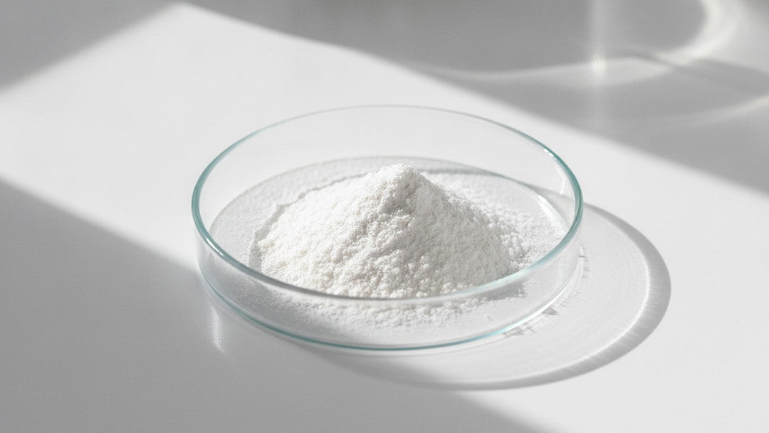 L-lysine powder in glass petri dish on laboratory bench