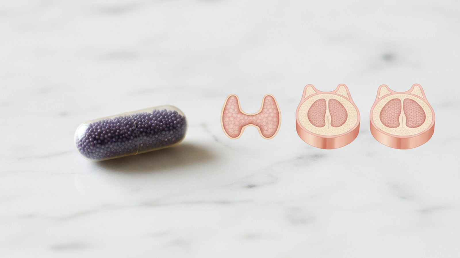Manganese supplement capsule beside thyroid tissue cross-section on white surface