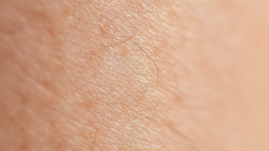 Close-up of healthy skin surface showing natural barrier texture