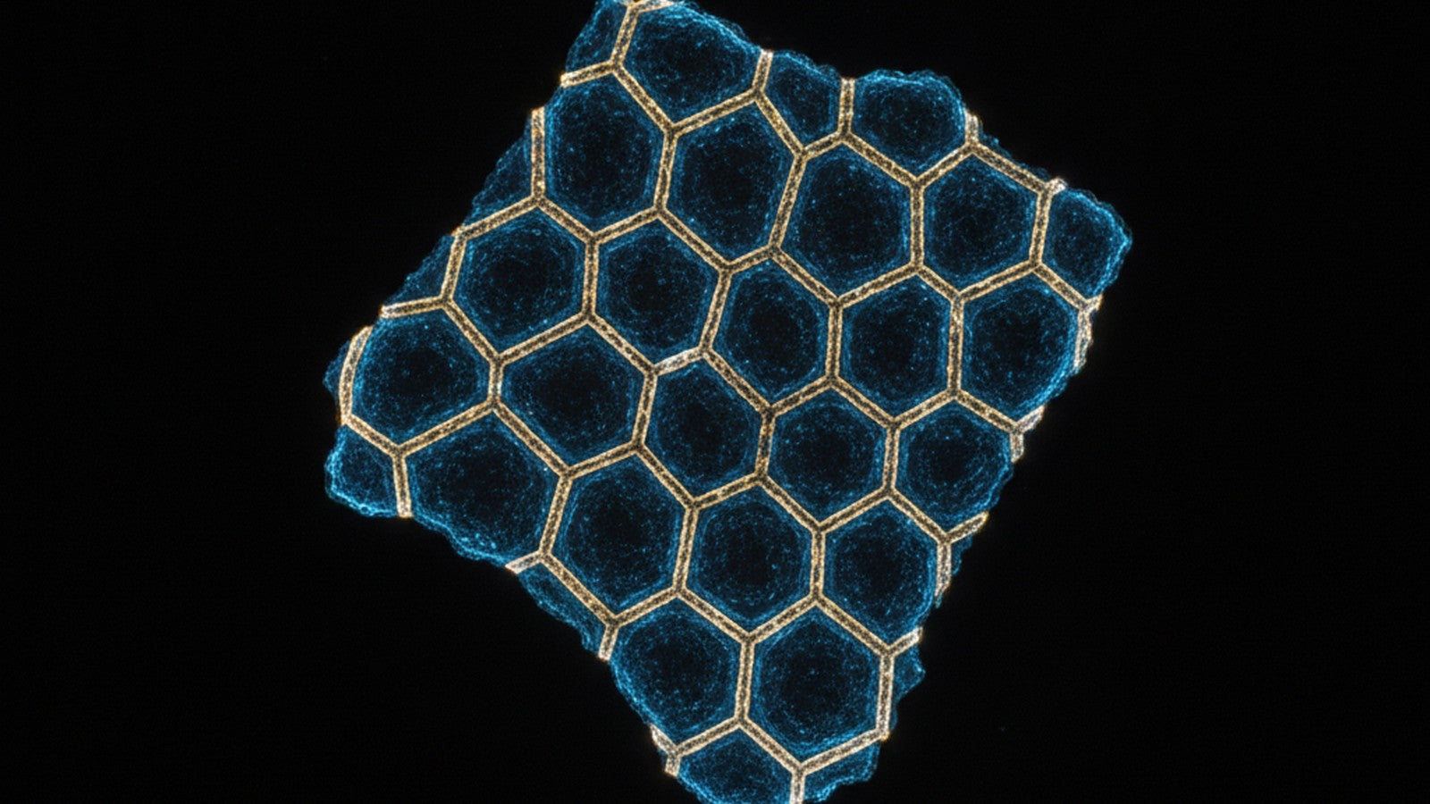Electron microscope image of bacterial cell wall fragment structure