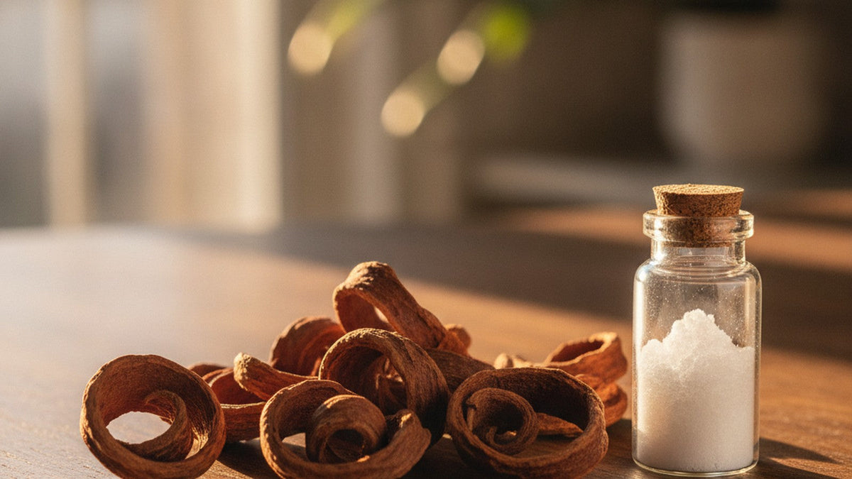 Dried cinchona bark pieces next to white quinine powder in glass vial