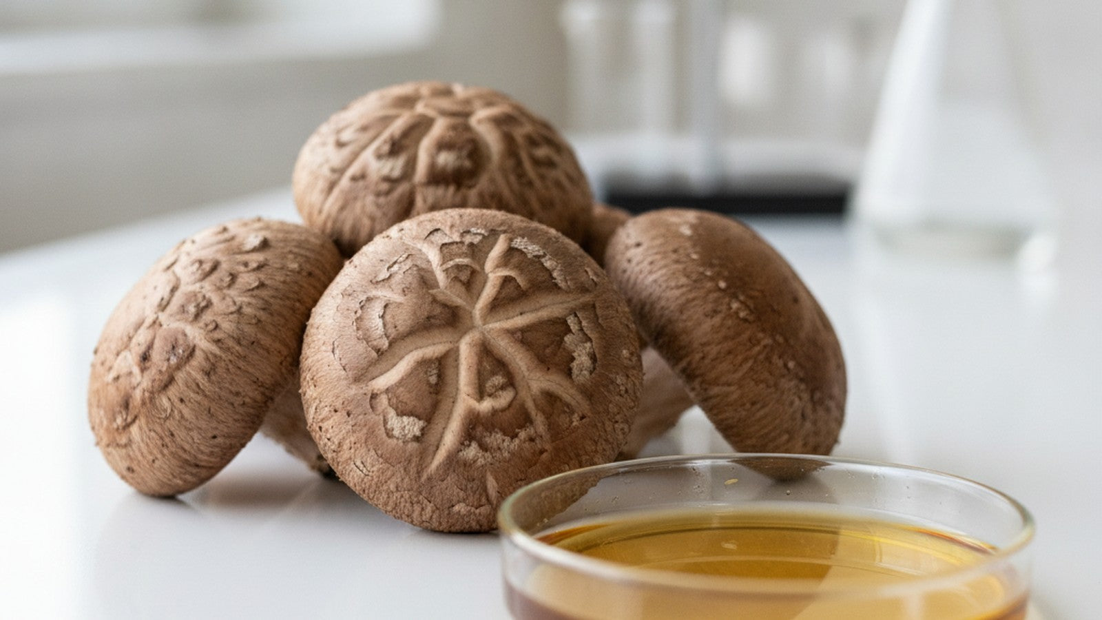 Fresh shiitake mushrooms on laboratory bench with extract sample