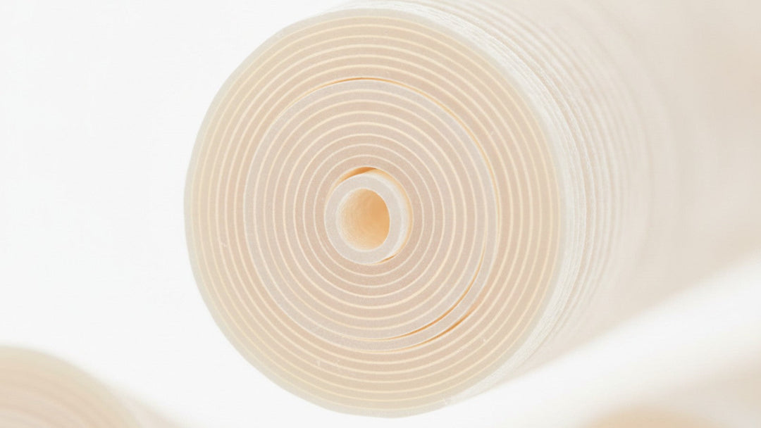 Cross-section of myelinated nerve fiber showing spiral myelin sheath layers