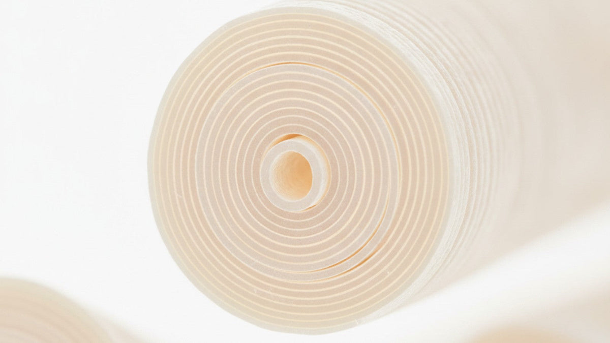 Cross-section of myelinated nerve fiber showing spiral myelin sheath layers