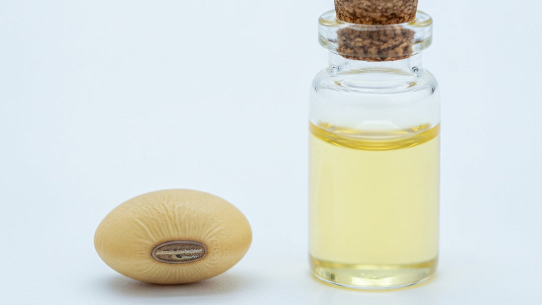 Single soybean next to vial of oil on laboratory bench