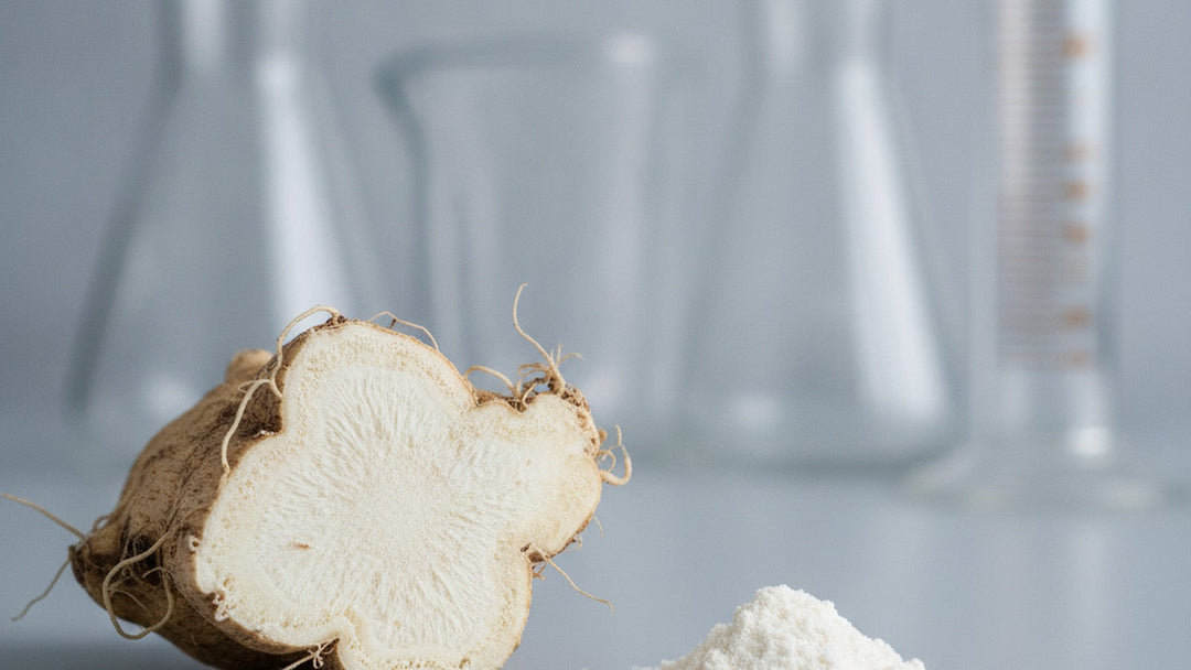 Cross-section of wild yam root beside powder on laboratory bench