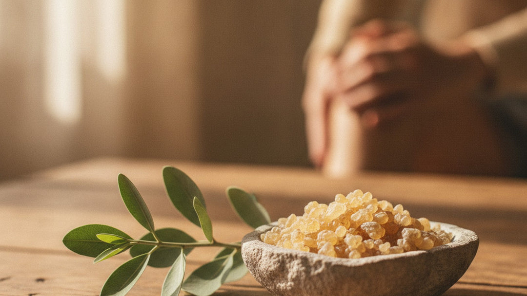 Frankincense boswellia resin tears in a stone bowl beside a boswellia branch on a rustic wooden table