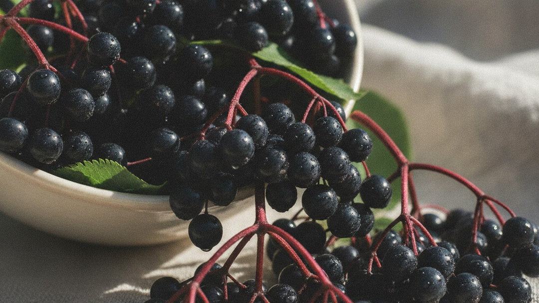 Fresh black elderberries on crimson stems spilling from a pale ceramic bowl onto light linen