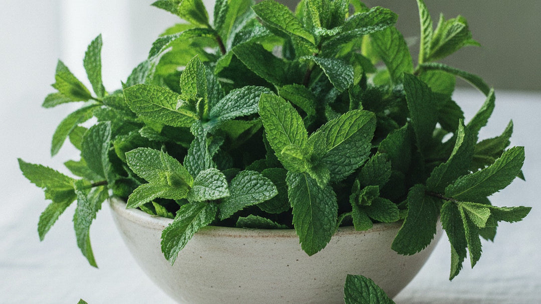 Fresh peppermint sprigs in a pale stoneware bowl on cool pale linen in bright natural light