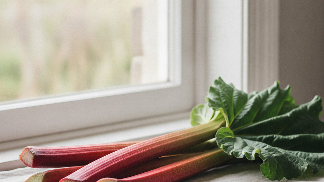 Fresh Siberian rhubarb stalks with a green leaf on a linen cloth by a window in natural light