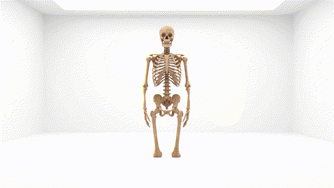 An animated GIF of a brittle wooden skeleton shattering from a feather's touch. A single green block is added, and the skeleton instantly reassembles, strong and solid, symbolizing NOW Foods' bone and joint health support.