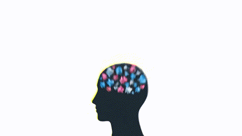 An animated GIF showing a silhouette of a human head. Jumbled papers fly around inside, then cartoon hands neatly organize them into a file folder. A lightbulb icon appears on the folder, symbolizing a return to mental clarity.