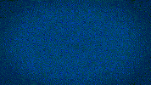 Apex Energetics CardioVascular Support