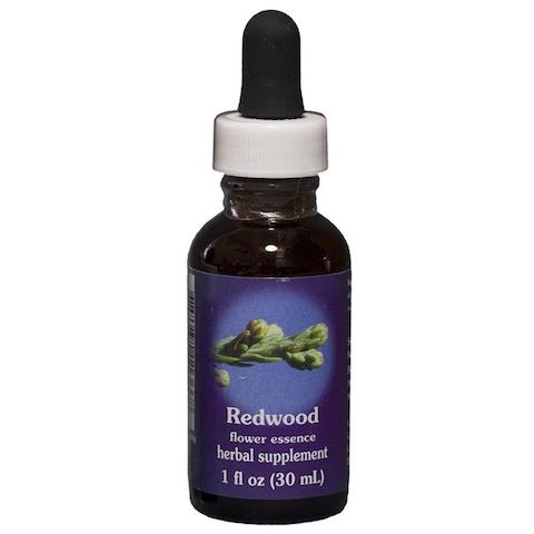 Flower Essence Services Centaury 1oz - FS0059