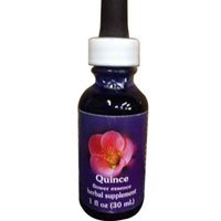 Quince Dropper, 0.25 oz by Flower Essence Services (Pack of 3)