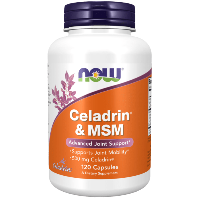 Now Foods Celadrin &amp; MSM 500 mg 120 Capsules - 3016 - 2 Pack