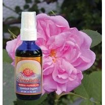 Flower Essence Services (FES) Benediction Oil