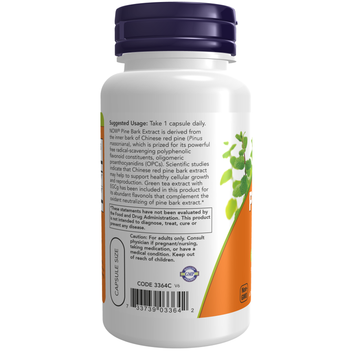 Now Foods Pine Bark Extract 240 mg 90 Vcaps - 3364 2 bottles