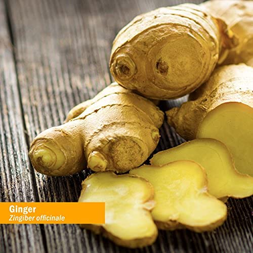 USDA Organic Ginger Root Extract*: Digestion &amp; Circulatory Support | Ginger Tincture for Occasional Nausea | Non-Bitter Vegan Digestive Supplement | 4 Oz, Up to 3 Months Supply