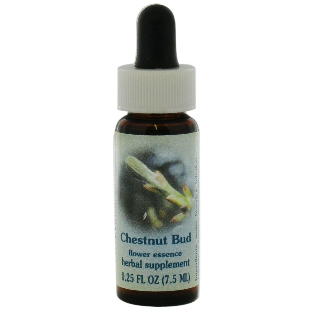Flower Essence Services Supplement Dropper, Chestnut Bud, 0.25 Fluid Ounce