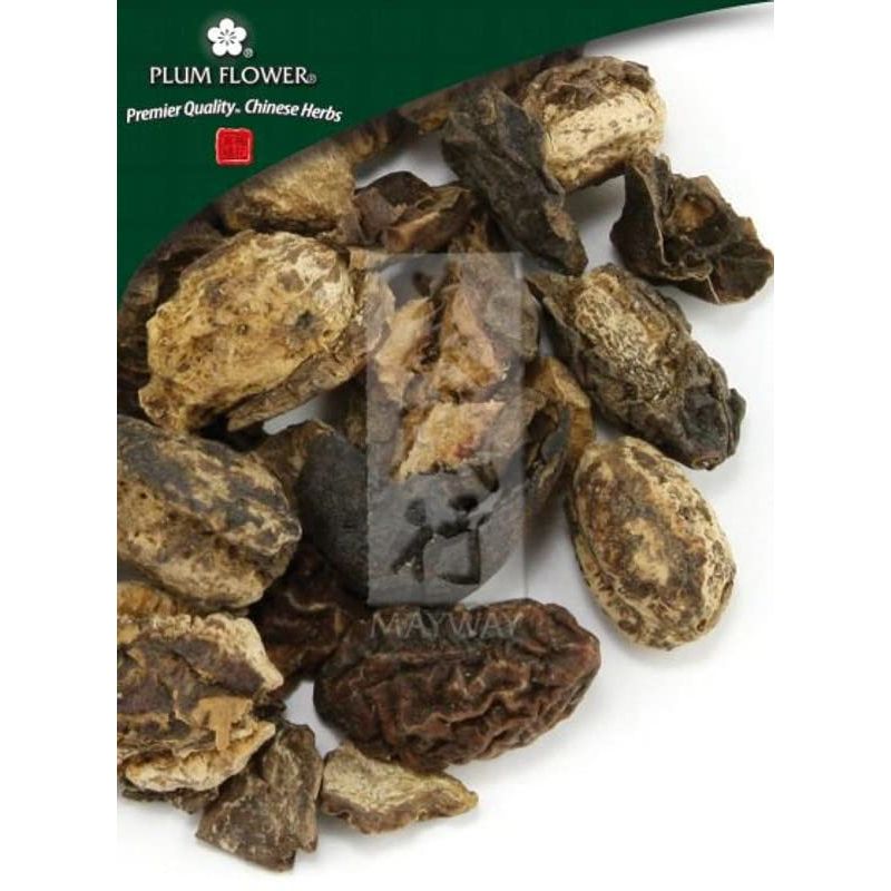 Plum Flower Terminalia chebula Fruit 500 Grams by MayWay