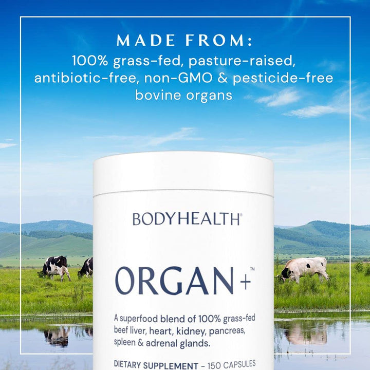 BodyHealth Organ+ Grass-Fed Glandular Organ Complex, Grassfed Beef Organ Supplement, Dessicated Beef Liver, Heart, Kidney, Pancreas, Spleen, Non GMO, Adrenal, Supplement, (150 Capsules)