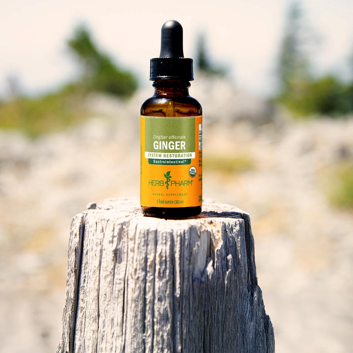 USDA Organic Ginger Root Extract*: Digestion &amp; Circulatory Support | Ginger Tincture for Occasional Nausea | Non-Bitter Vegan Digestive Supplement | 4 Oz, Up to 3 Months Supply