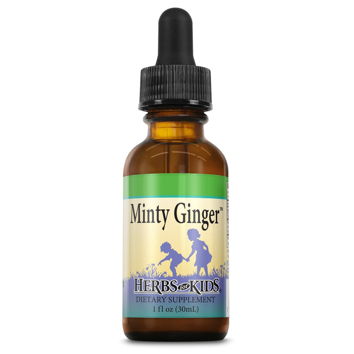 Herbs For Kids Minty Ginger, Liquid, Unflavored (Btl-Glass) | 1oz