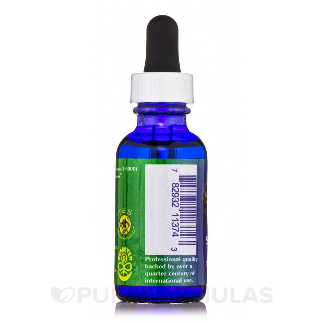 Shasta Lily Dropper 1 Ounces