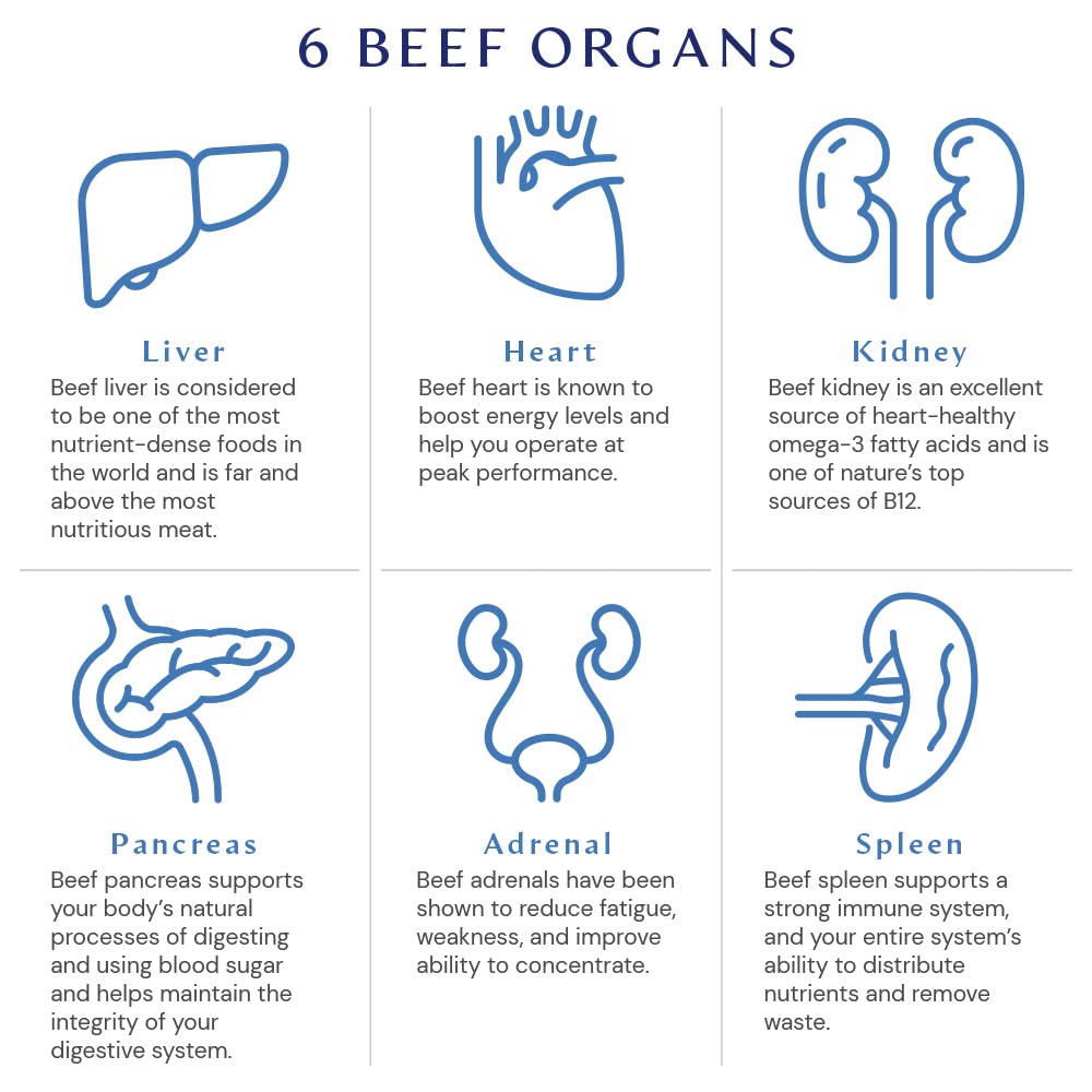 BodyHealth Organ+ Grass-Fed Glandular Organ Complex, Grassfed Beef Organ Supplement, Dessicated Beef Liver, Heart, Kidney, Pancreas, Spleen, Non GMO, Adrenal, Supplement, (150 Capsules)